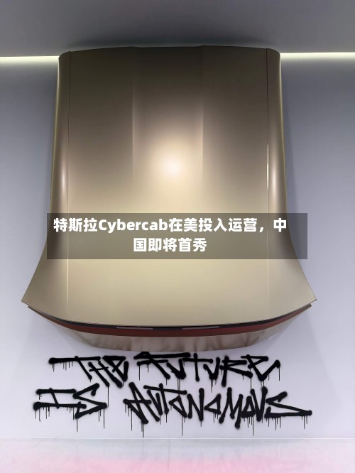 特斯拉Cybercab在美投入运营，中国即将首秀-第2张图片