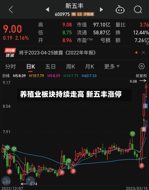 养殖业板块持续走高 新五丰涨停-第2张图片