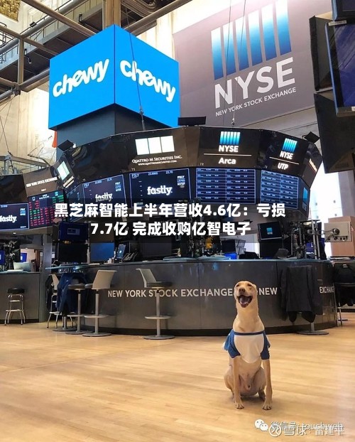 黑芝麻智能上半年营收4.6亿：亏损7.7亿 完成收购亿智电子