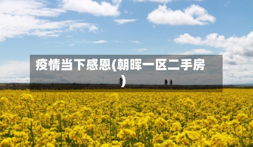疫情当下感恩(朝晖一区二手房)-第2张图片