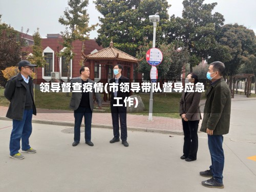 领导督查疫情(市领导带队督导应急工作)-第2张图片