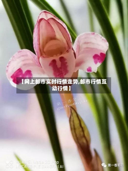 【网上邮市实时行情走势,邮市行情互动行情】-第2张图片