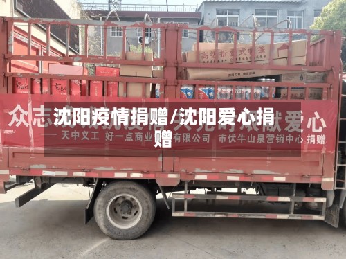 沈阳疫情捐赠/沈阳爱心捐赠