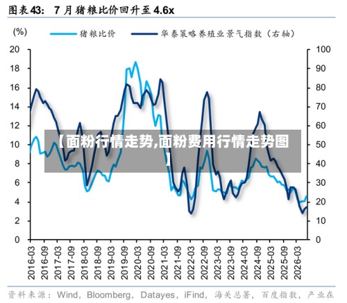 【面粉行情走势,面粉费用行情走势图】