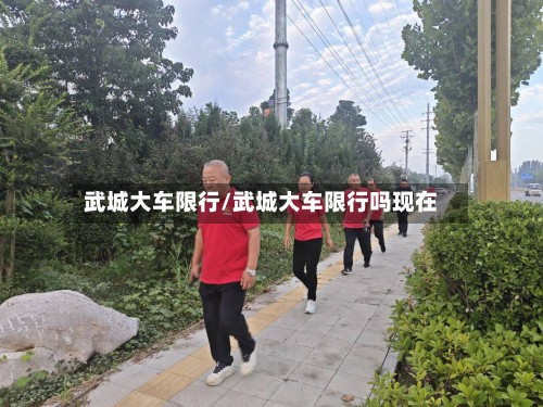 武城大车限行/武城大车限行吗现在