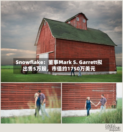 Snowflake：董事Mark S. Garrett拟出售5万股	，市值约1750万美元-第2张图片