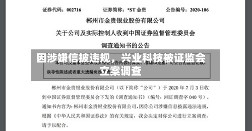 因涉嫌信披违规	，兴业科技被证监会立案调查-第3张图片