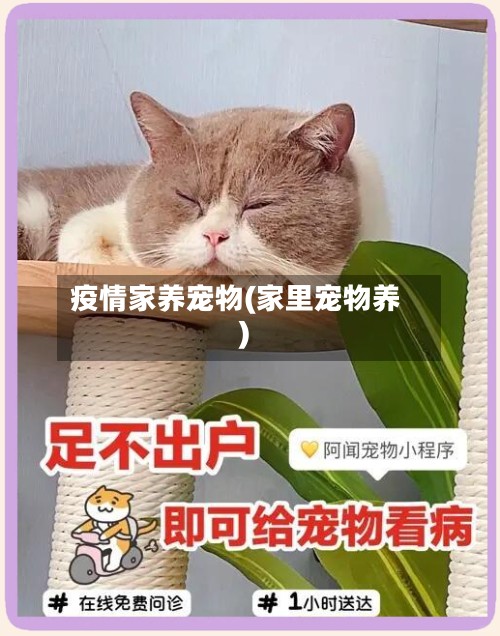 疫情家养宠物(家里宠物养)-第2张图片