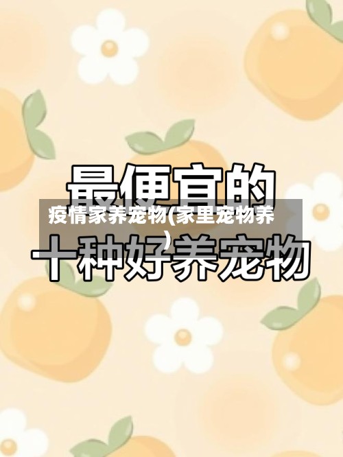 疫情家养宠物(家里宠物养)