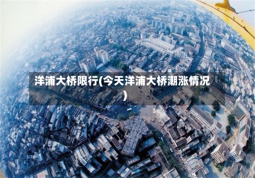 洋浦大桥限行(今天洋浦大桥潮涨情况)