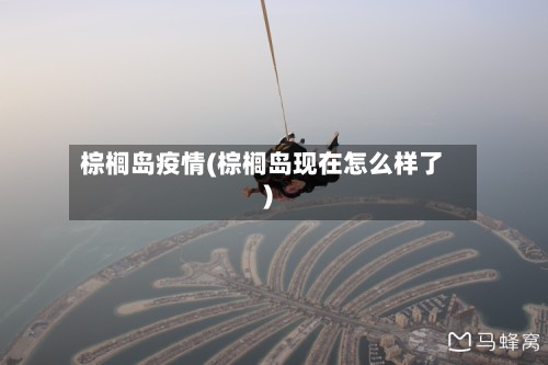 棕榈岛疫情(棕榈岛现在怎么样了)-第2张图片