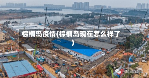 棕榈岛疫情(棕榈岛现在怎么样了)