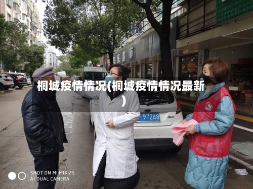桐城疫情情况(桐城疫情情况最新)-第3张图片