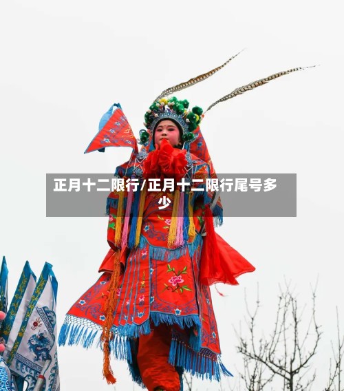 正月十二限行/正月十二限行尾号多少