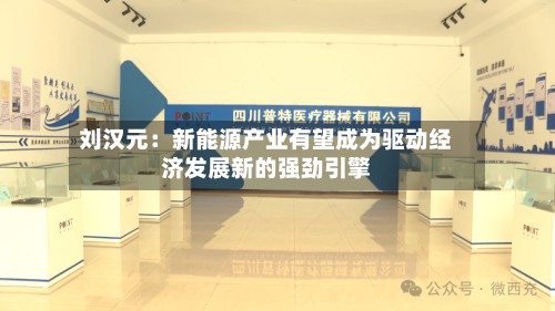 刘汉元：新能源产业有望成为驱动经济发展新的强劲引擎