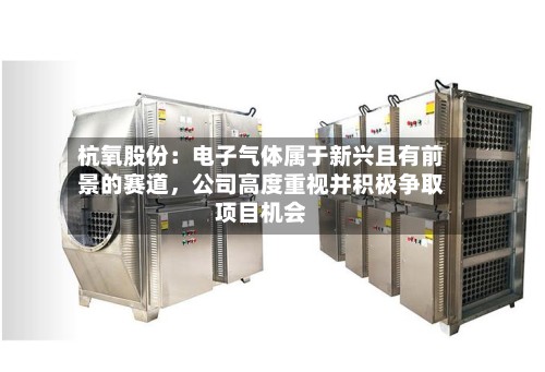 杭氧股份：电子气体属于新兴且有前景的赛道，公司高度重视并积极争取项目机会-第3张图片