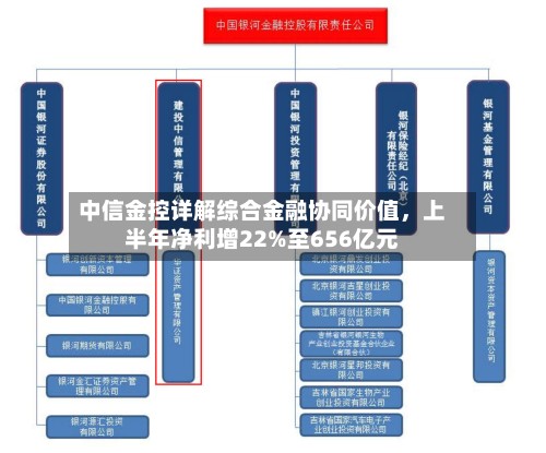 中信金控详解综合金融协同价值，上半年净利增22%至656亿元-第2张图片