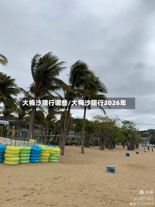 大梅沙限行哪些/大梅沙限行2026年