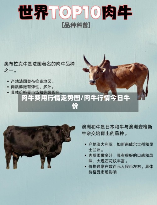 肉牛费用行情走势图/肉牛行情今日牛价