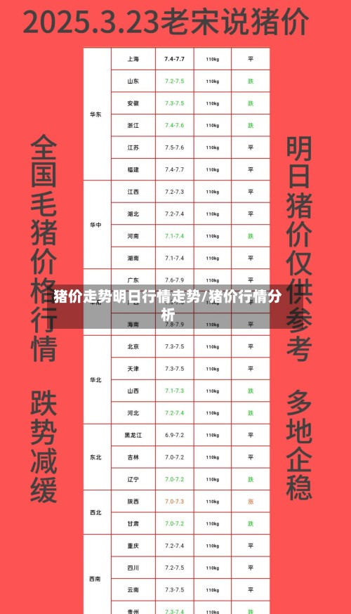 猪价走势明日行情走势/猪价行情分析-第3张图片