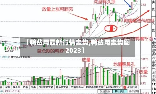 【鸭费用最新行情走势,鸭费用走势图2023】