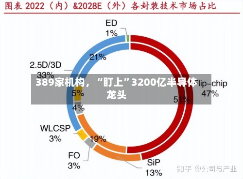 389家机构，“盯上	”3200亿半导体龙头-第2张图片