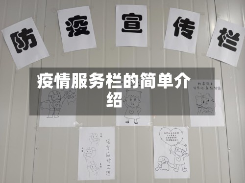 疫情服务栏的简单介绍
