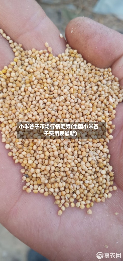 小米谷子市场行情走势(全国小米谷子费用表最新)-第3张图片