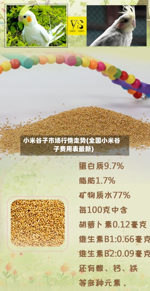 小米谷子市场行情走势(全国小米谷子费用表最新)-第2张图片