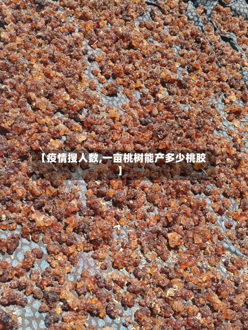 【疫情搜人数,一亩桃树能产多少桃胶】