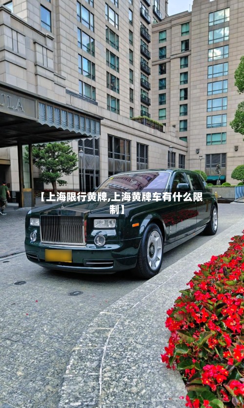 【上海限行黄牌,上海黄牌车有什么限制】-第2张图片