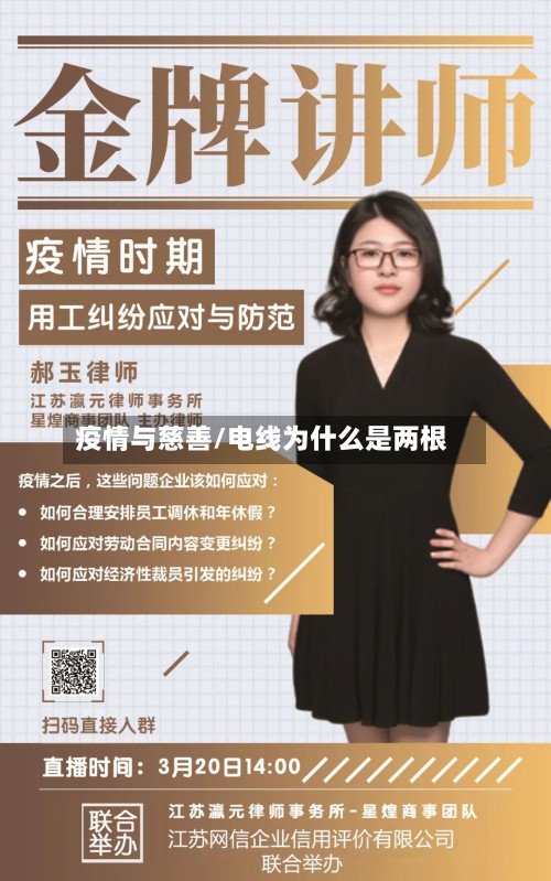 疫情与慈善/电线为什么是两根-第3张图片