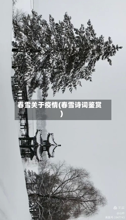 春雪关于疫情(春雪诗词鉴赏)-第2张图片