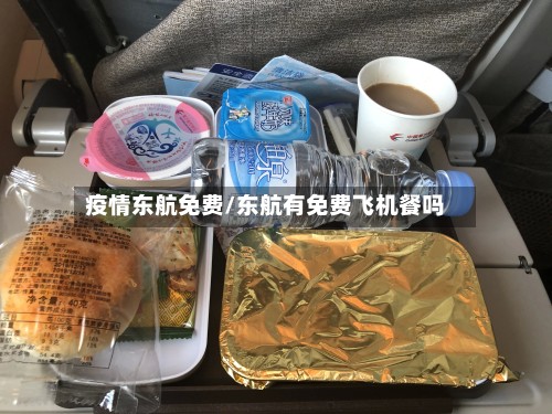 疫情东航免费/东航有免费飞机餐吗-第2张图片