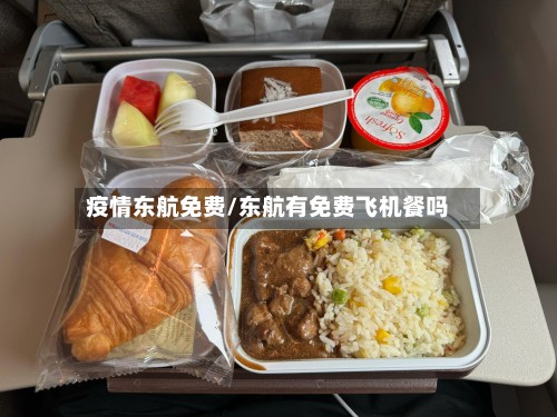 疫情东航免费/东航有免费飞机餐吗