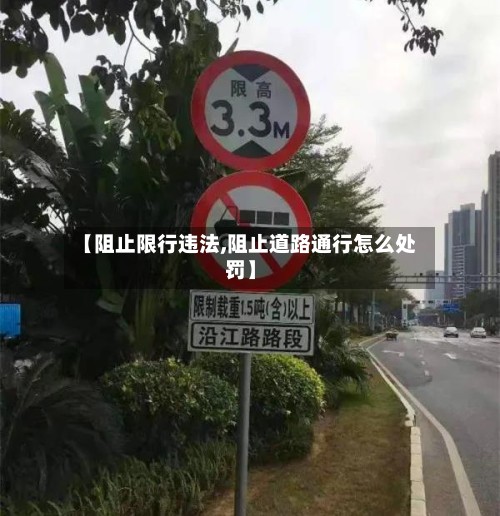 【阻止限行违法,阻止道路通行怎么处罚】