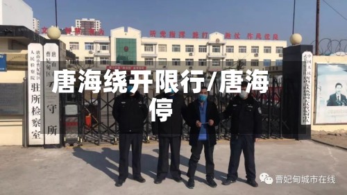唐海绕开限行/唐海停-第3张图片