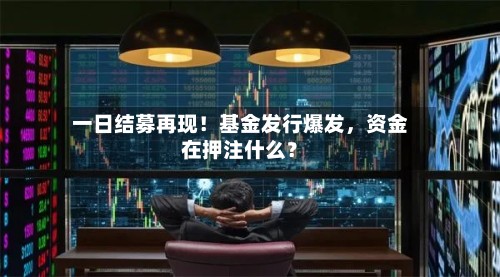 一日结募再现！基金发行爆发，资金在押注什么？-第2张图片