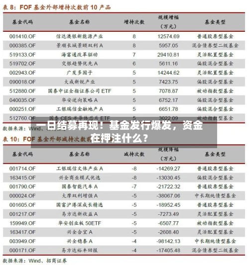 一日结募再现！基金发行爆发，资金在押注什么？-第3张图片