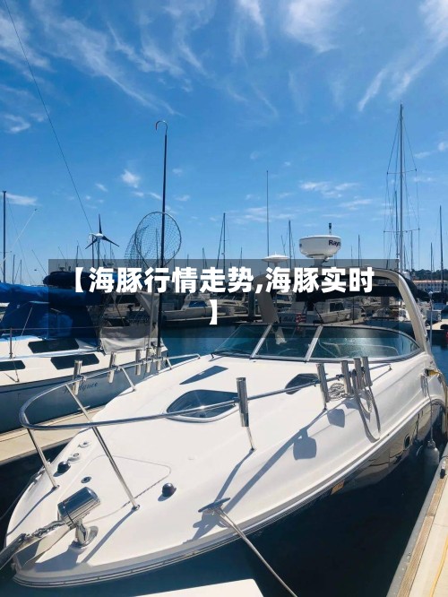 【海豚行情走势,海豚实时】-第3张图片