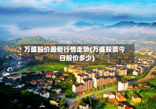万盛股价最新行情走势(万盛股票今日股价多少)-第2张图片