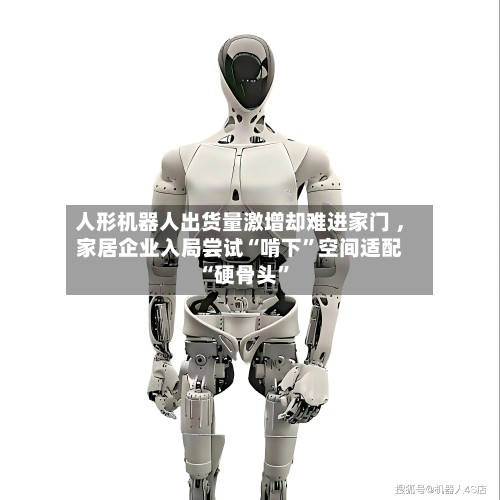 人形机器人出货量激增却难进家门 ，家居企业入局尝试“啃下	”空间适配“硬骨头”-第2张图片