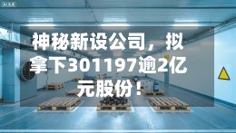 神秘新设公司	，拟拿下301197逾2亿元股份！-第2张图片