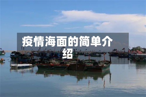 疫情海面的简单介绍