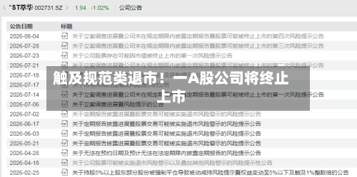 触及规范类退市!一A股公司将终止上市-第2张图片