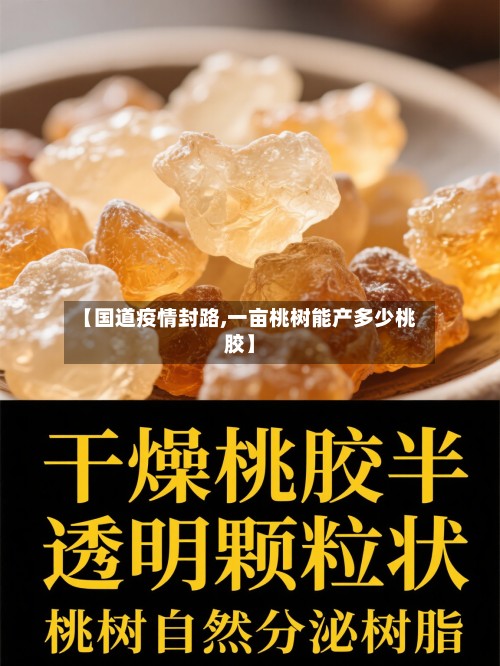 【国道疫情封路,一亩桃树能产多少桃胶】