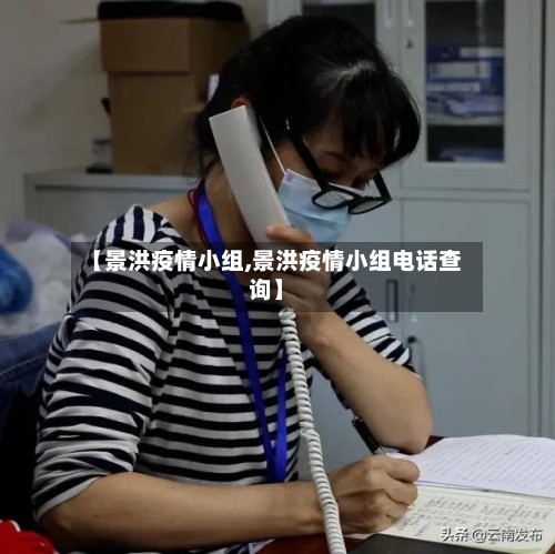 【景洪疫情小组,景洪疫情小组电话查询】