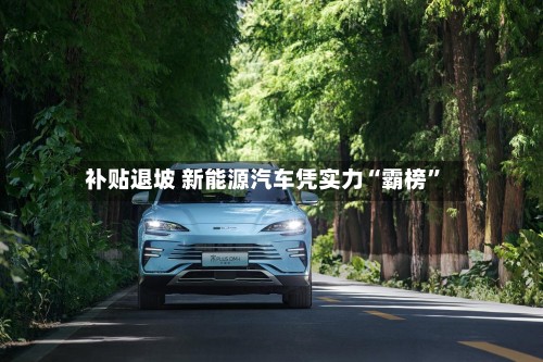 补贴退坡 新能源汽车凭实力“霸榜	”-第3张图片