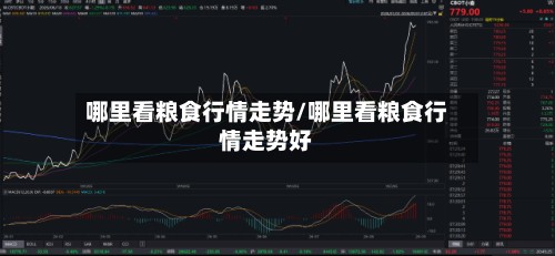 哪里看粮食行情走势/哪里看粮食行情走势好-第2张图片