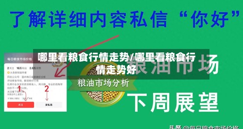 哪里看粮食行情走势/哪里看粮食行情走势好-第3张图片